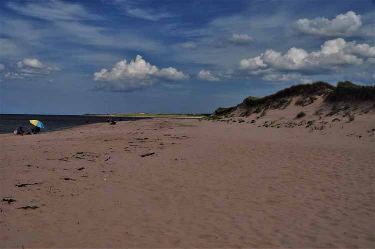 beach and coastline
